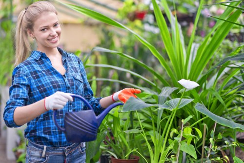 Customer complaint review process for a landscaping service