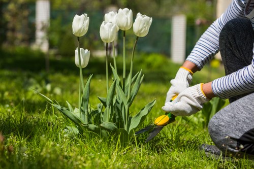Image representing a reliable and efficient website experience for Holborn landscapers