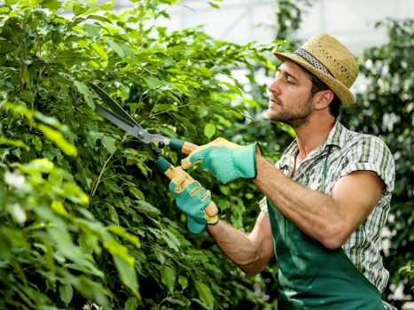 Holborn landscaping services for patios and planting