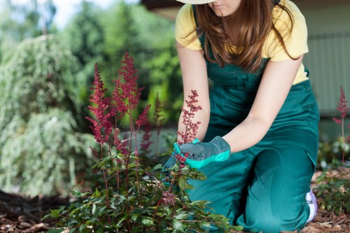 Final policy statement on safe and tidy landscaping operations