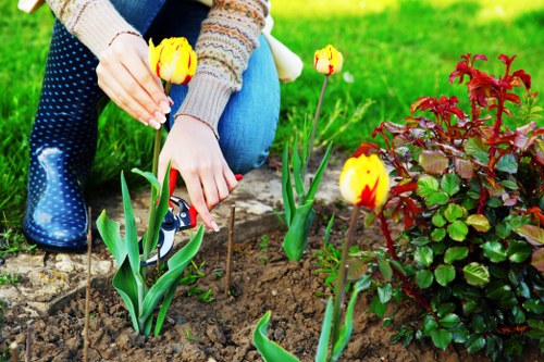 Spring garden upkeep in a London residential outdoor space