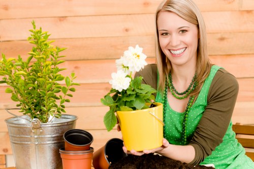 Low-maintenance planting ideas for an urban Holborn garden
