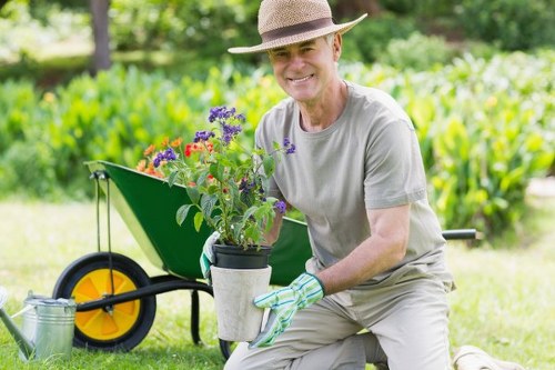 Local hedge maintenance for a central London property boundary