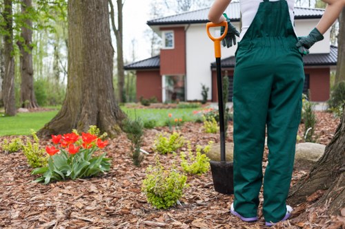 Lawn and hedge care in a tidy Holborn garden