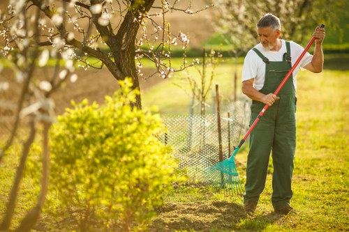 Feeding and fertilising a lawn in a central London garden space